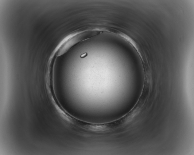X0000085011147200703121516