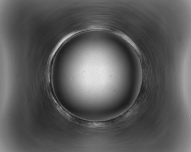 X0000085011148200703121516