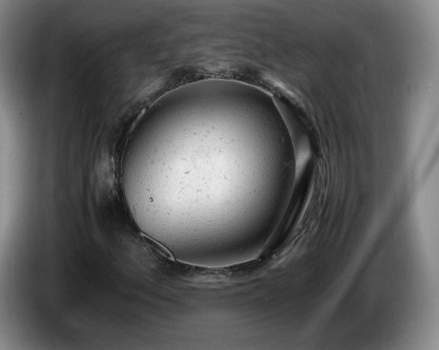 X0000085011156200703121515