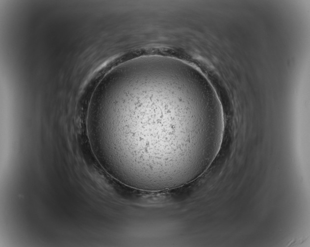 X0000085011159200703121515
