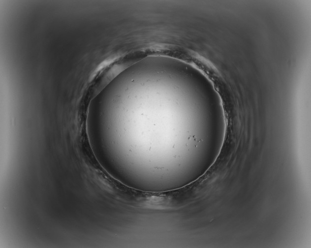 X0000085011160200703121515