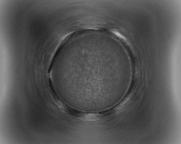 X0000085011161200703121515