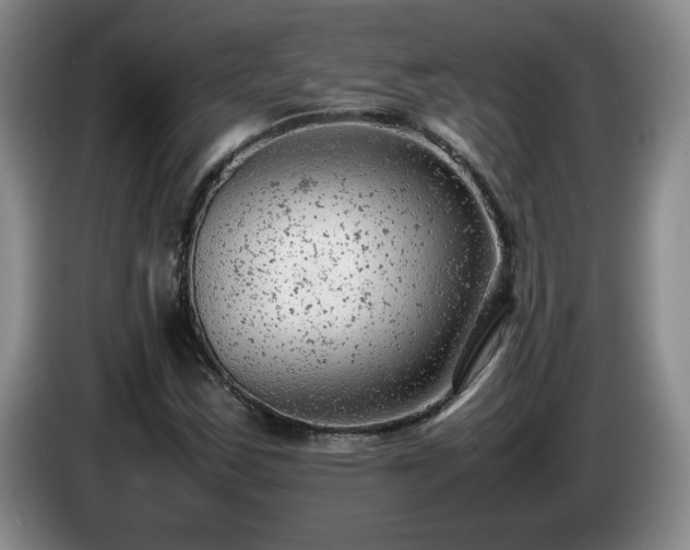 X0000085011163200703121515