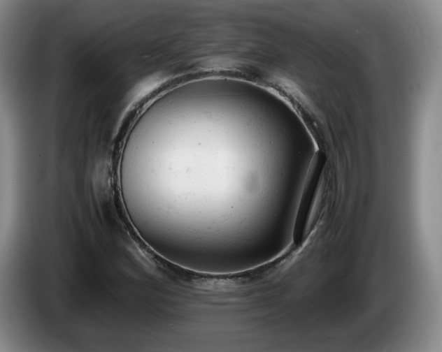 X0000085011164200703121515