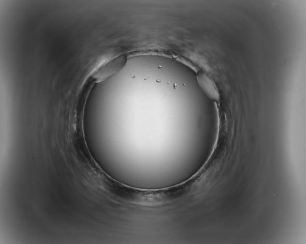 X0000085011165200703121515