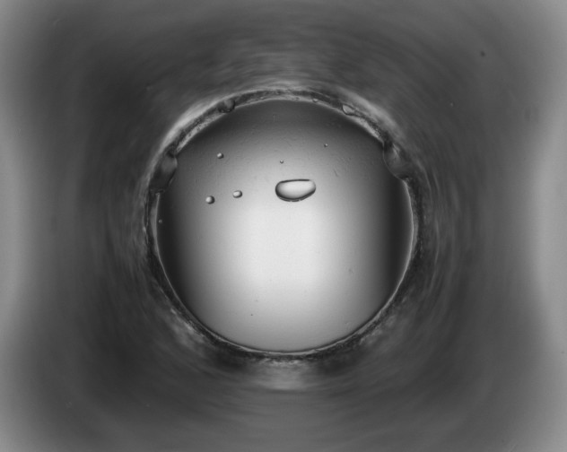 X0000085011168200703121515