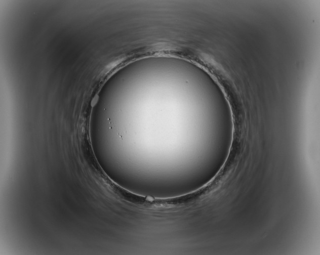 X0000085011169200703121515