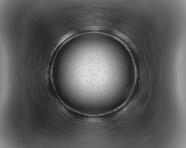 X0000085011170200703121515