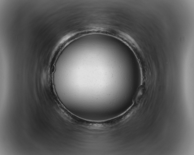 X0000085011172200703121515
