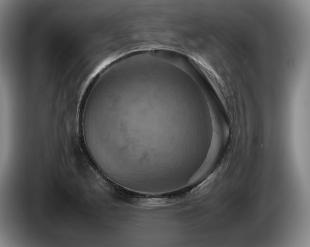 X0000085011173200703121515