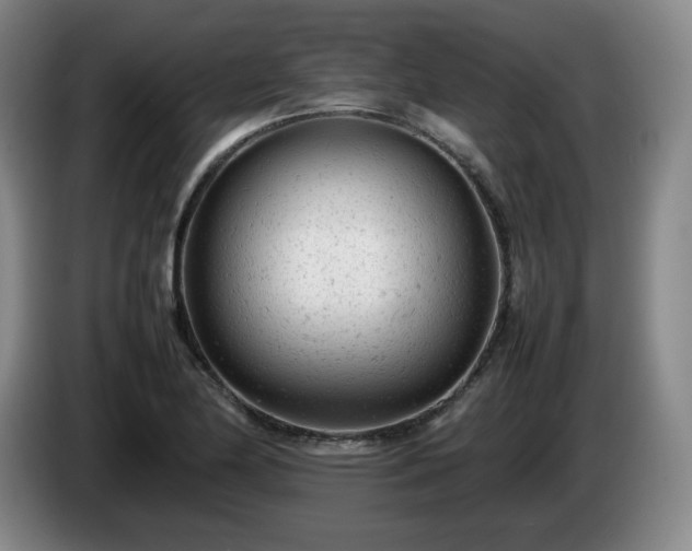 X0000085011174200703121515