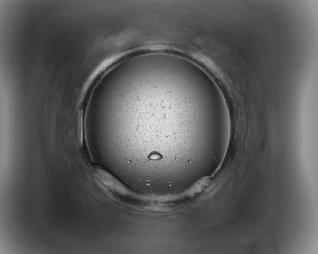 X0000085011175200703121515