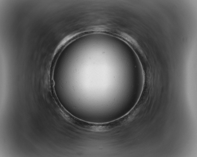 X0000085011176200703121515