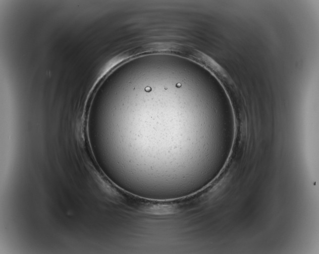 X0000085011178200703121515