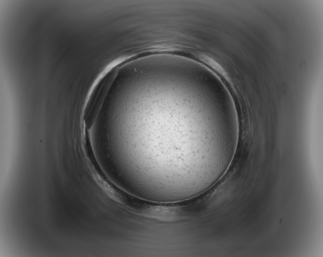 X0000085011179200703121515