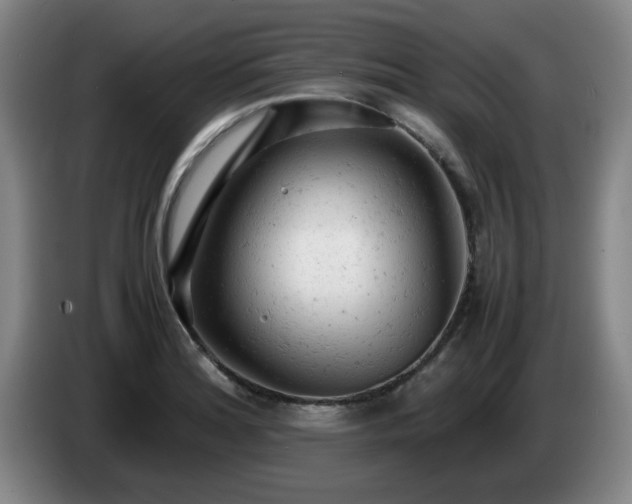 X0000085011180200703121515