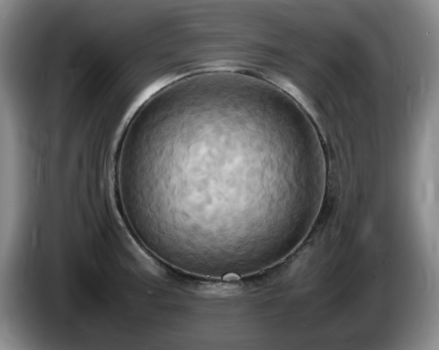 X0000085011187200703121515