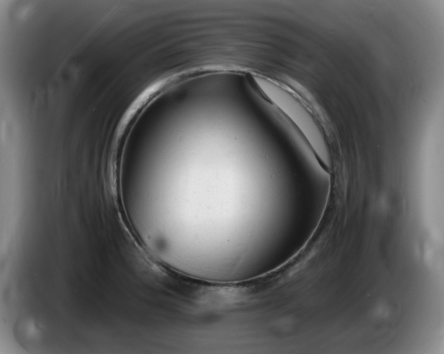 X0000085011188200703121515