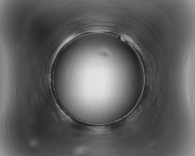 X0000085011189200703121515