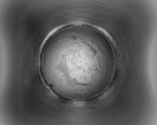 X0000085011191200703121515