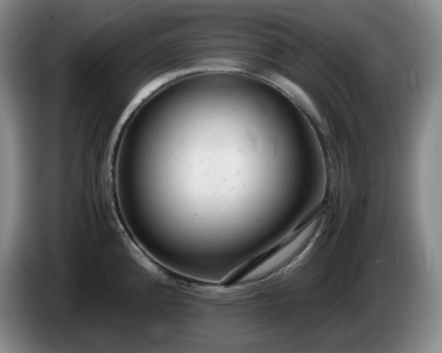 X0000085011192200703121515