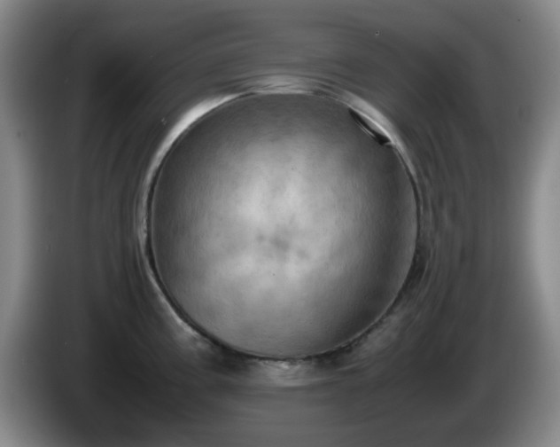 X0000085011195200703121515