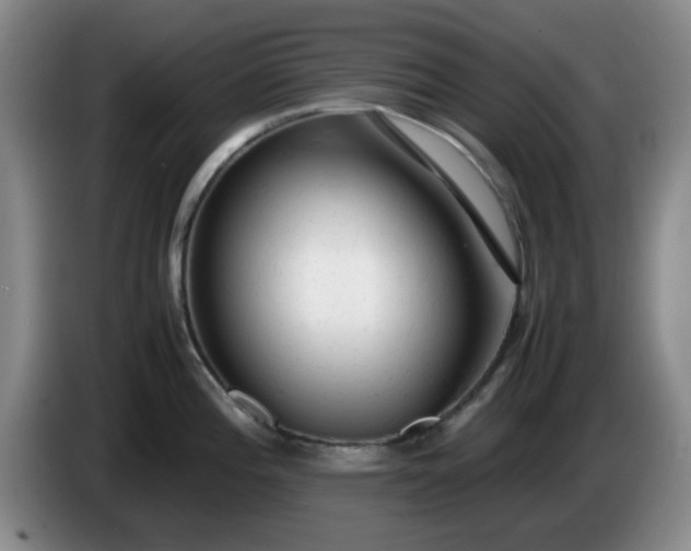 X0000085011196200703121515