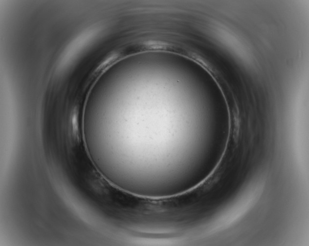 X0000085011198200703121515