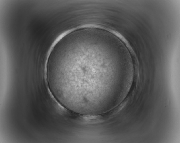 X0000085011199200703121515