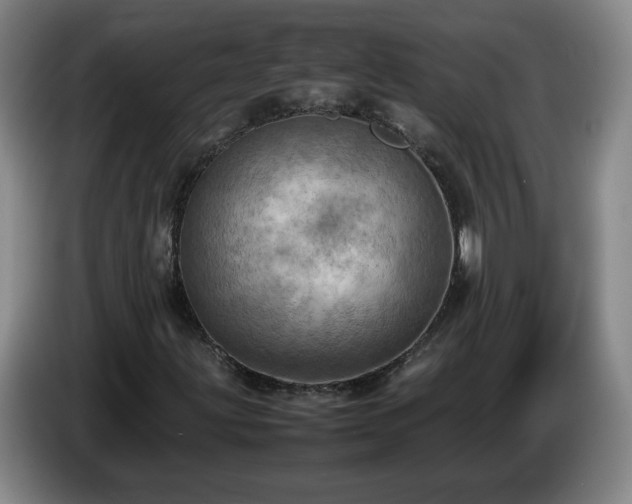 X0000085011203200703121514