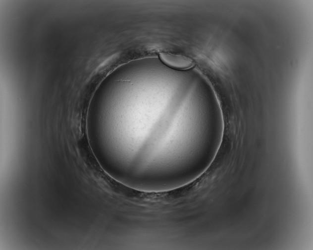 X0000085011205200703121514