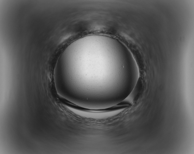 X0000085011206200703121514