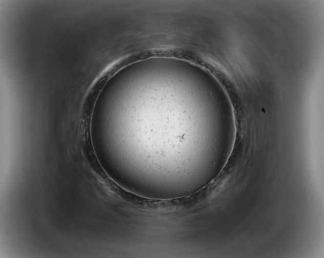 X0000085011208200703121514