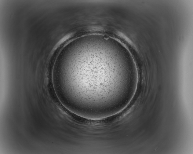 X0000085011213200703121514