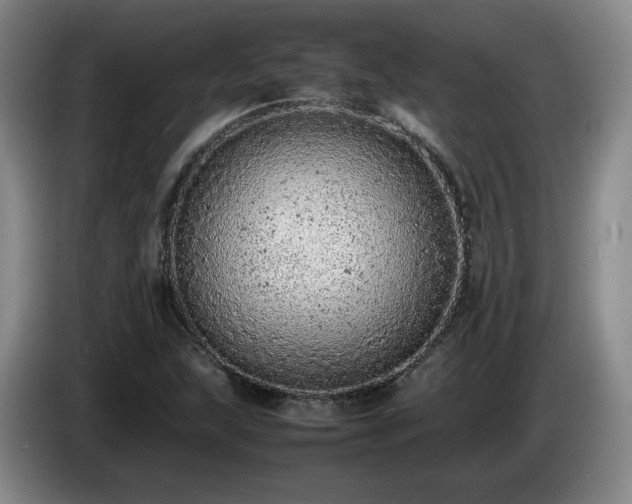 X0000085011215200703121514