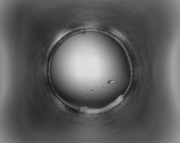 X0000085011216200703121514