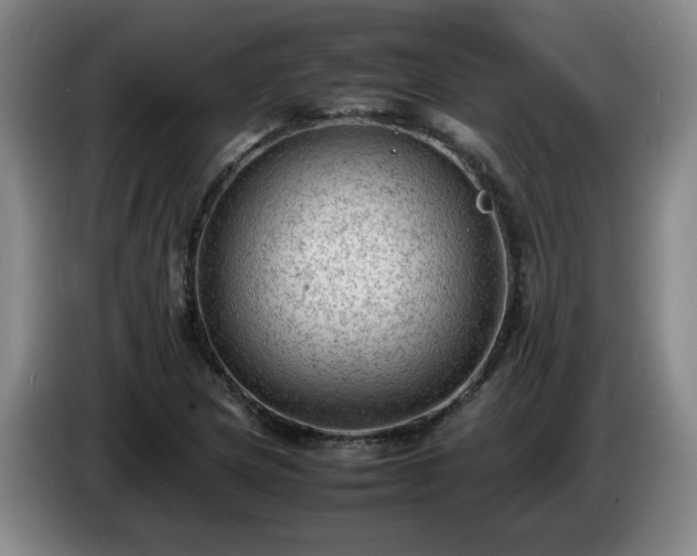 X0000085011217200703121514