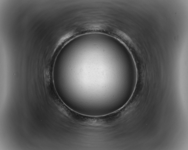 X0000085011218200703121514