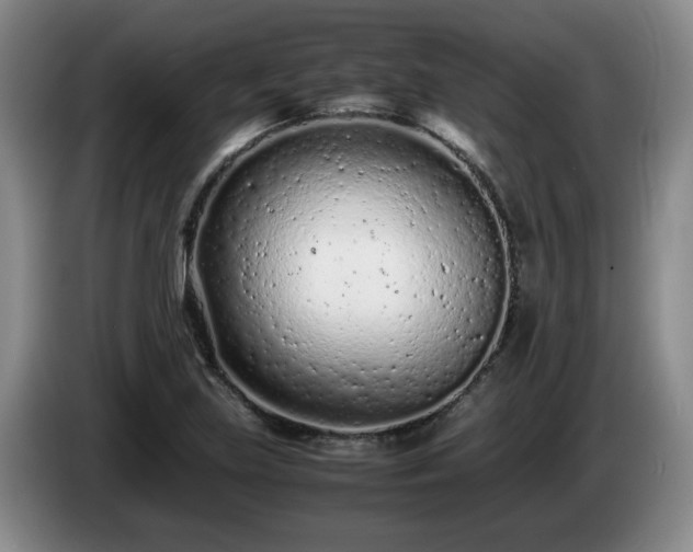 X0000085011219200703121514