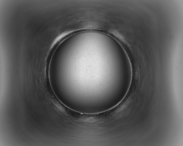 X0000085011222200703121514