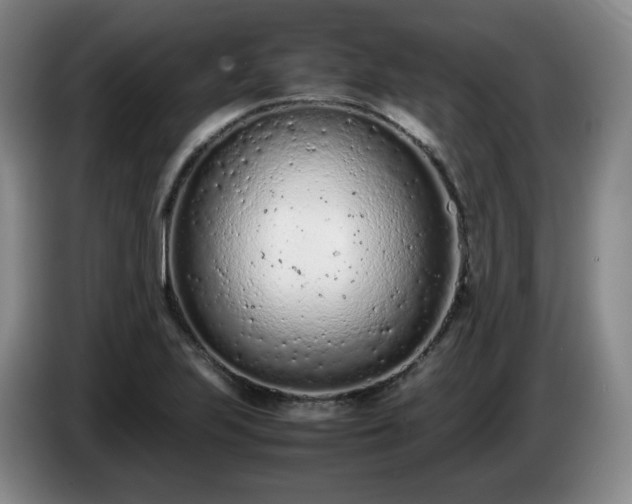 X0000085011223200703121514