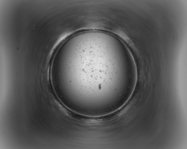 X0000085011224200703121514