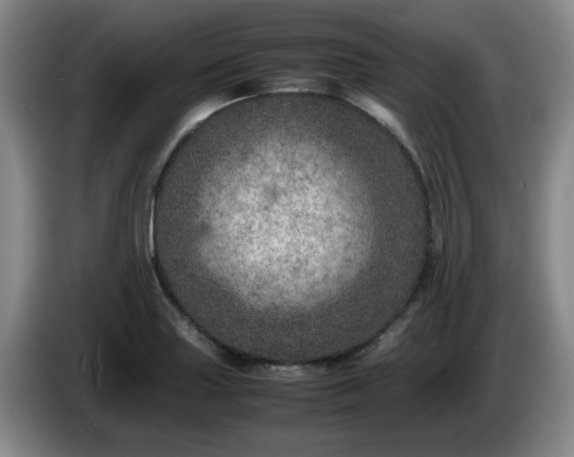 X0000085011227200703121514