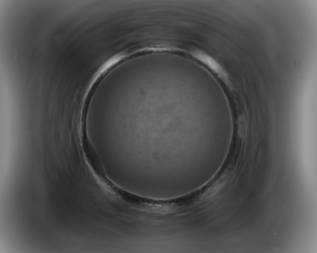 X0000085011229200703121514