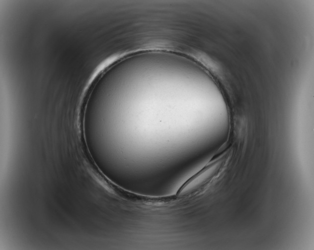 X0000085011230200703121515
