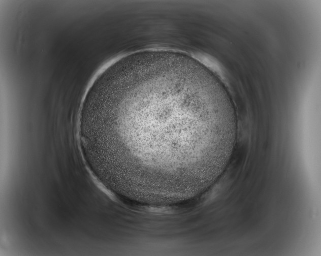 X0000085011231200703121515