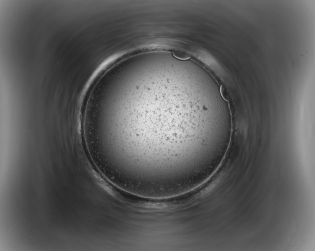 X0000085011232200703121515