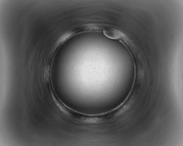 X0000085011233200703121515