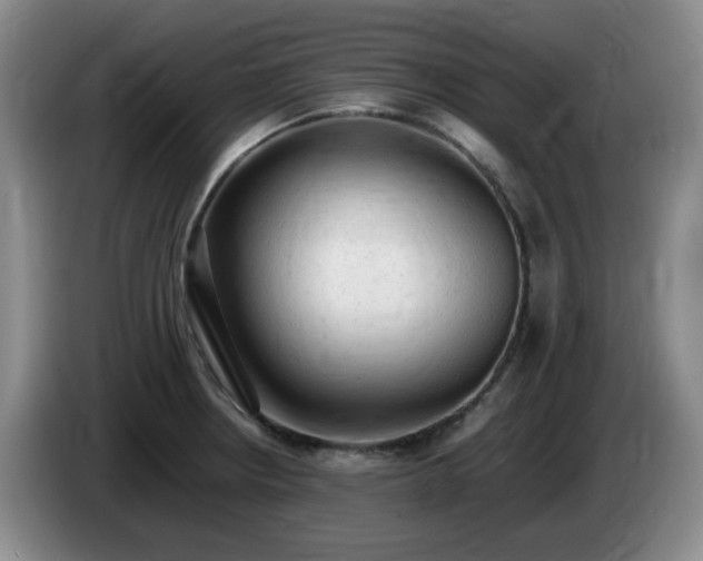 X0000085011234200703121515