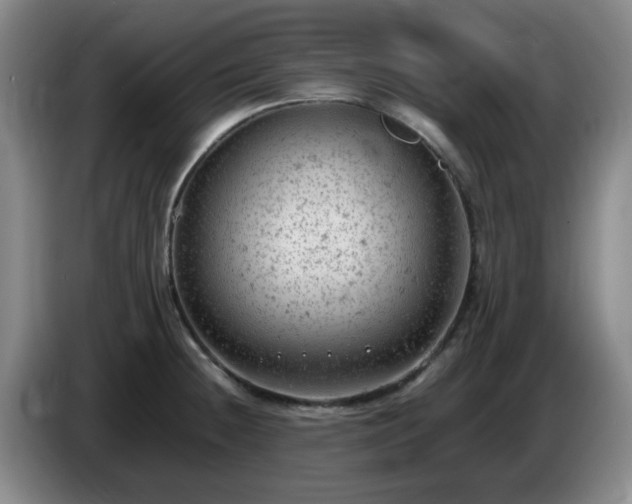 X0000085011236200703121515